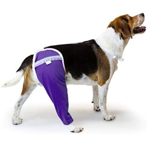 After Surgery Wear Hip and Thigh Wound Protective Sleeve for Dogs. Dog Recovery Sleeve. Recommended by Vets Worldwide