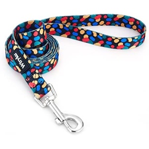 4 FT/5 FT Cute Dog Leash, Sturdy Printed Floral Pattern Girl Pet Leashes for Walking Training, Puppy Leash for Small, Medium and Large Dogs