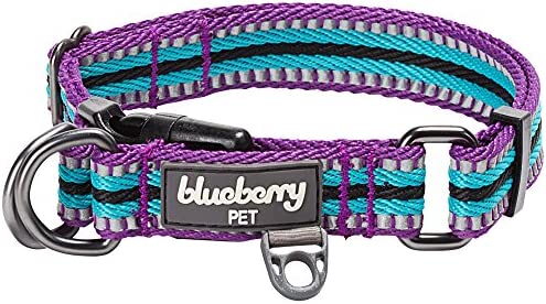 Blueberry Pet 10+ Colors Safe & Comfy Multi-Colored Stripe Dog Collars, 3M Reflective Options Available