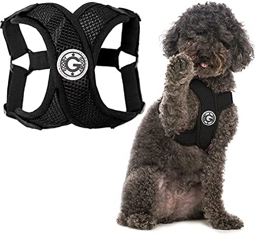Gooby Comfort X Step In Harness - No Pull Small Dog Harness with Patented Adjusting Choke-Free X Frame - Perfect on the Go Dog Harness for Medium Dogs No Pull and Small Dogs for Indoor and Outdoor Use