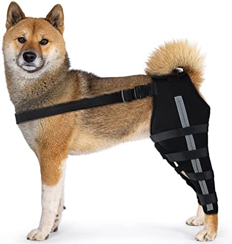 Minatee Dog Knee Brace Dog Leg Braces with Metal Hinged Flexible Support and Reflective Seat Belts for Wounds, Heals, Prevents Injuries and Sprains from Arthritis