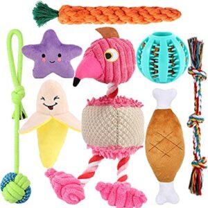 8 Pack Puppy Toys, Squeaky Plush Dog Toys for Small Dogs, Cute Puppy Teething Chew Toy, Indestructible IQ Treat Ball and Safe Ropes Toys