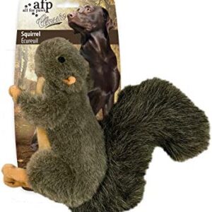 All for Paws Pet Squirrel Rabbit Plush Toys, Dog Puppy Squeaky Toy, Large