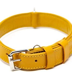 Logical Leather Dog Collar - Best Full Grain Padded Leather Collars