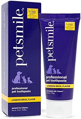 Petsmile Professional Dog Toothpaste | VOHC Approved Flavored Pet Toothpaste with Plaque Control | Human-Grade Ingredients Clean Teeth & Improves Dental Health (London Broil, 2.5 Oz)