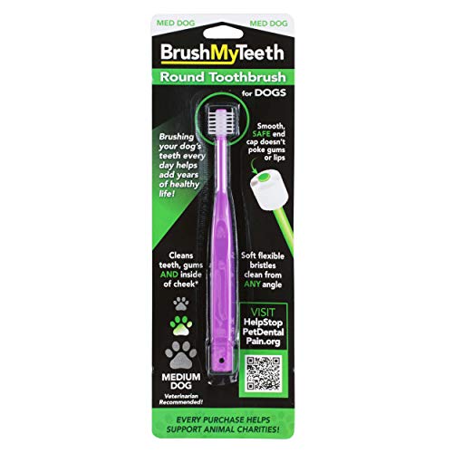 Brush My Teeth Medium Dog Toothbrush - Rounded Brush Head -Soft Flexible Bristles- for Safe and Gentle Brushing for Doggie, Any Medium Breed or Puppy, Daily Brushing Adds Years of Healthy Life