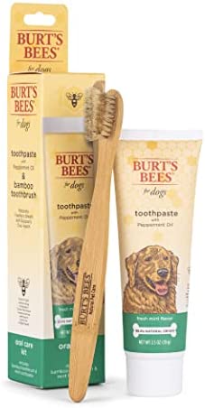 Burt's Bees for Dogs Toothpaste with Honeysuckle and Peppermint Oil, 2.5 oz in Fresh Mint Flavor - Dog Toothpaste Mint Flavor with 99.5% Natural Formula, Best Dog Toothpaste