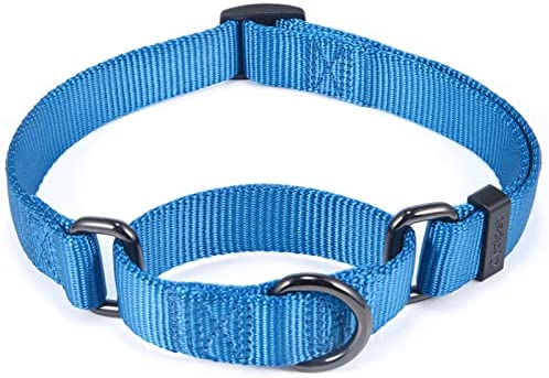 Cyclpet Nylon Adjustable Martingale Dog Collars,Comfort and Silky Training Dog Collar with Heavy Duty Clip for Active Dogs.