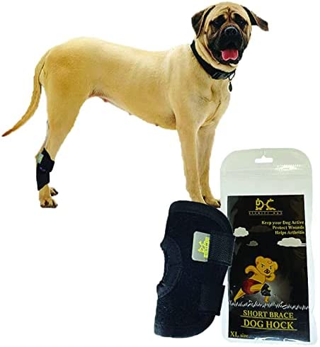 Dignity Dog Title Knee Brace for Knee Support – Double Compression ACL Knee Brace for Dogs – Dog Leg Braces for Back Leg – Ideal for Surgery Recovery, Injury, Pain Relief and Discomfort