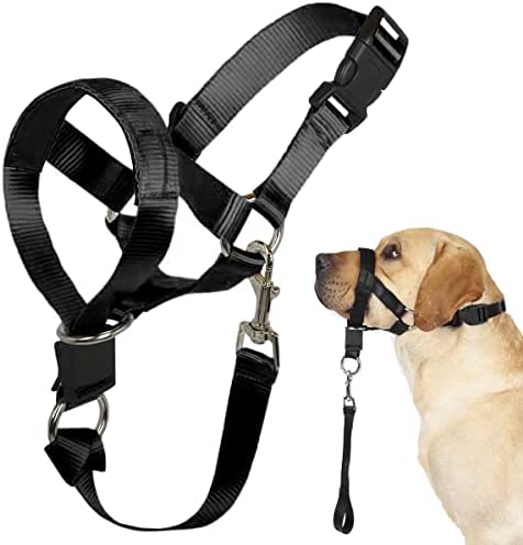 Dog Head Collar, No Pull Training Tool for Dogs on Walks, Includes Free Training Guide, Soft Padding, 5