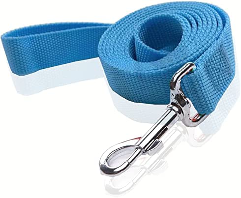 Durable Nylon Dog Leash 4 Ft 5 Feet 6 Foot Long, Walking Training Dog Leashes for Medium Large Dogs, 1 Inch Wide