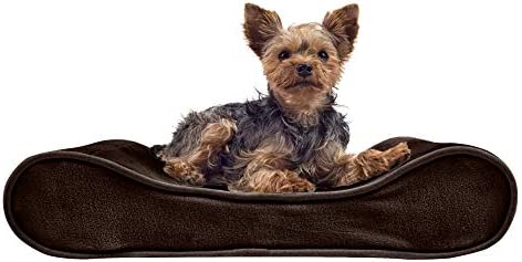 Furhaven Luxe Lounger Dog Beds for Small/Medium/Large Dogs & Cats - Orthopedic, Cooling Gel, Memory Foam, & More