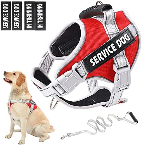 HUSDOW Service Dog Vest Harness, No Pull in Trainning Dog Harnesses with Handle & 5ft Dog Leash, Adjustable and Reflective No Chock for Small Medum Large Pets Walking and Running