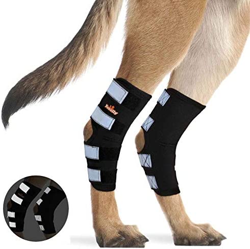 NeoAlly Pair Dog Rear Leg Brace Canine Rear Hock Joint Support with Safety Reflective Straps for Joint Injury and Sprain Protection, Wound Healing and Loss of Stability from Arthritis