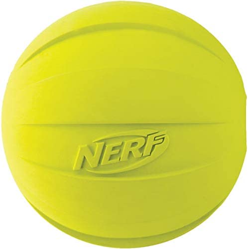 Nerf Dog Squeak Ball, Large