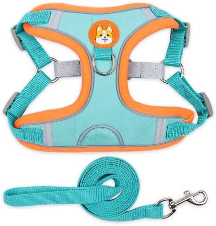 No Pull Dog Harness No Pull Pet Harness with Leash Puppy Harness with Leads Soft Pet Harness Soft Dog Vest Cat Harness for Running Walking Training and Exercise( MSRTPET)