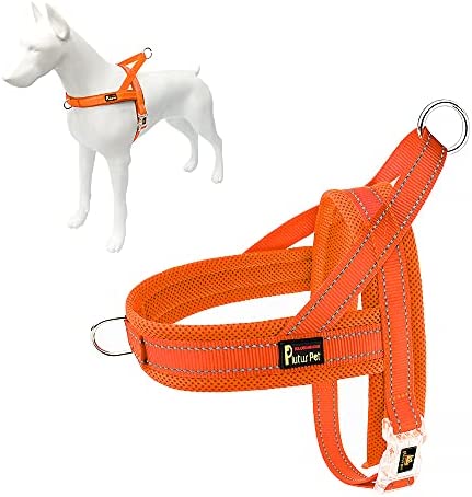 Plutus Pet No Pull Dog Harness with Breathable Mesh Padded, Adjustable Reflective Escape Proof Dog Harness, Quick Fit Dog Vest Harness for Small Medium Large Dogs
