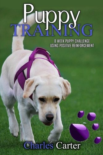 Puppy Training: 8-week puppy challenge using positive reinforcement