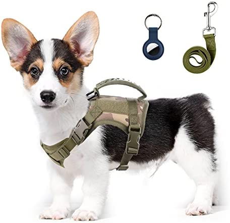Annchwool Tactical Dog Harness for Small Dogs with Handle, Military Service Dog Vest and Leash Set for Outdoor Training Walking Hiking, Adjustable (Black, Camo)