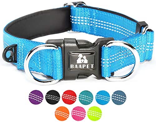BAAPET Comfortable Dog Collar with Double Security Dual D-Ring and ID Tag Hanger for Small Puppy, Medium and Large Dogs (M - 1.0" x (14"-20"), Blue)