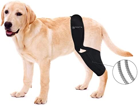 BaoGuai Knee Brace for Dogs ACL with Side Stabilizers,Knee Cap Dislocation, Arthritis - Keeps The Joint Warm and Stable - Extra Support - Reduces Pain and Inflammation - 7Sizes（L）