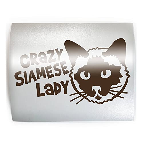 CRAZY SIAMESE LADY #1 - PICK COLOR & SIZE - Cat Feline Breed Pet Love Vinyl Decal Sticker M