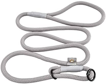Cesar Millan Slip Lead Leash™ - Slip Collar Training Lead Gives You Greater Control and The Ability to Make Quick and Gentle Corrections (Grey, Large)