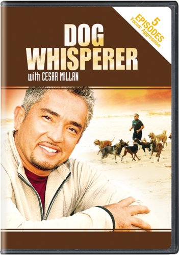 Dog Whisperer With Cesar Millan - Aggression
