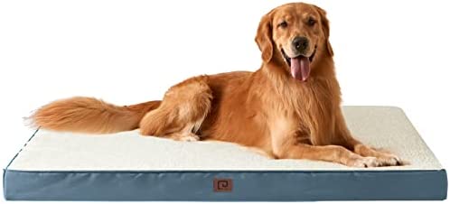 EHEYCIGA Extra Large Dog Beds for Large Dogs, Orthopedic Washable XL Dog Bed with Removable Cover, Big Durable Pet Bed Dog Mat Mattress Cushion, Spa Blue