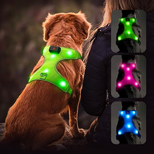 Flashseen LED Dog Harness, Lighted Up USB Rechargeable Pet Harness, Illuminated Reflective Glowing Dog Vest Adjustable Soft Padded No-Pull Suit for Small, Medium, Large Dogs (Green, S)