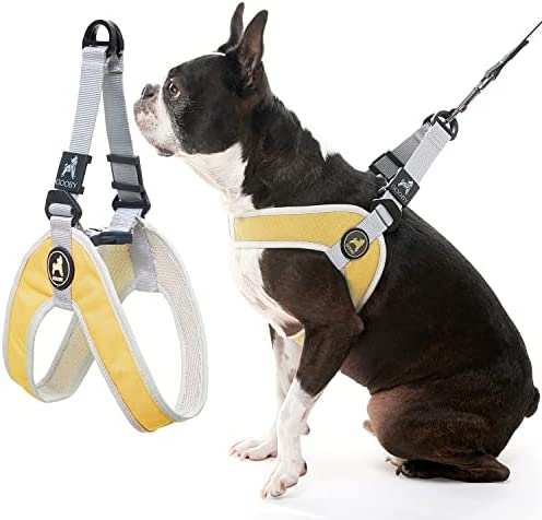 Gooby Simple Step in III Harness - Small Dog Harness with Scratch Resistant Outer Vest - Soft Inner Mesh Harness for Small, Medium Dogs for Indoor, Outdoor