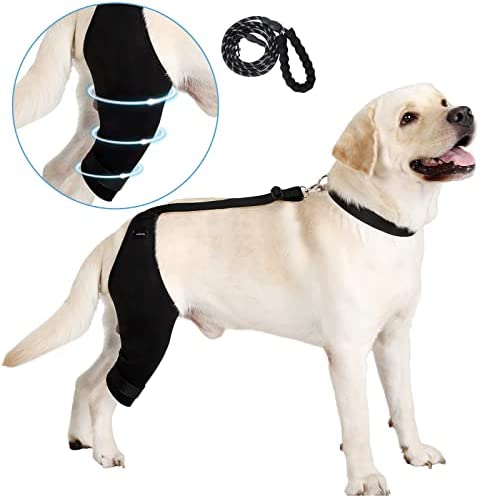 Noillow Dog Knee Brace, Dog Leg Brace for Sprain ACL, CCL, Arthritis - Keeps The Joint Warm and Stable, Leg Wounds Care and Prevent Licking, Dog Rear Leg Luxating Patella Brace-Left- M
