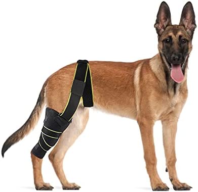 PETNEDO Dog Knee Brace, Knee Cap Dislocation for Prain Acl, Ccl, Arthritis - Keeps The Joint Warm and Stable, Extra Support, Breathable Compression Wrap Helps Reduces Pain and Inflammation