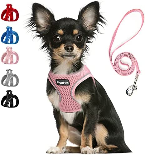 PetiFine Step in Small Dog Harness and Leash Set, Breathable All Weather Air Mesh Reflective Escape Proof, Step-in Vest Harnesses for Puppy(XS, Pink)