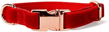 Sam & Maui Velvet Dog Collar with Rose Gold Metal Buckle Red Dog Collar-Small
