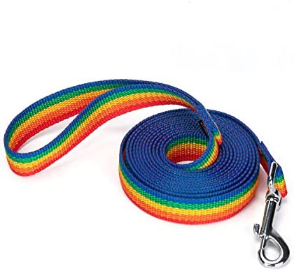 Siumouhoi Strong Durable Nylon Dog Training Leash, 1 Inch Wide Traction Rope, 6 ft 10ft 15ft Long, for Small and Medium Dog (Rainbow, 10 Feet)
