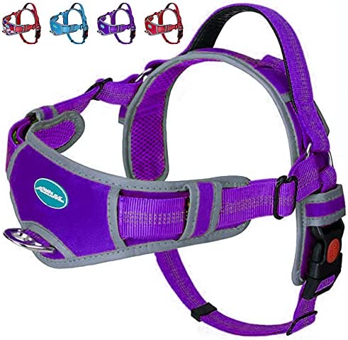 ThinkPet Dog Vest Halter Harness -No Pull Dog Harness with Handle for Large Medium Small Dogs Puppy Training Escape Proof Heavy Duty Front and Back Clip Comfortable Padded Sport Harness for Easy Walk