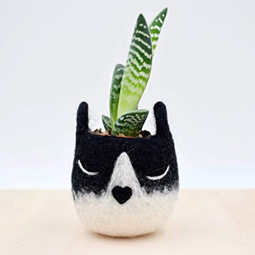 Tuxedo cat mini planter | Succulent plant vase, Cat head little pot, small indoor planter, cat lover gift for her