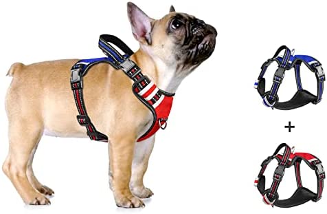 WINSEE Dog Harness No Pull, 4 Snap Buckles Pet Harness with 2 Leash Clips, Adjustable Soft Padded Dog Vest, Reflective Pet Oxford Walking Vest with Easy Control Handle, NO Need Go Over Dog’s Head