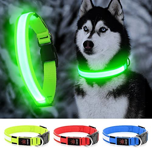 YFbrite LED Dog Collar Adjustable Light up Dog Collars Ultra Light Rechargeable Dog Collar Light Flashing Dog Collar Visiblity & Safety for Your Dogs (Green, Medium)