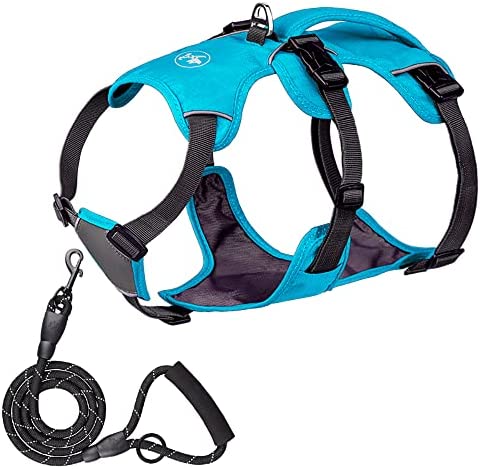 Charmsong Reflective Dog Harness for Medium Dogs with Leash,No-Choke Large Dogs Tactical Harness Adjustable Pet Heavy Duty Adventure Oxford Vest with Easy Control Grip Handle Waterproof Blue S