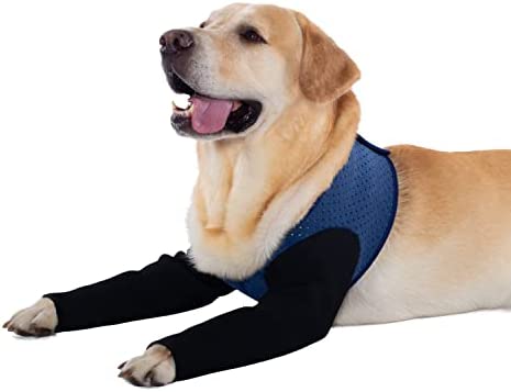 Coodeo Dog Recovery Sleeves, Cone Collar Alternative, Abrasion Resistant Dog Recovery Suit, Washable 2.5mm Thick and Waterproof, Pet Wounds Prevent Licking, Bite, Keep Dry (XS, Blue)