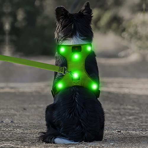 DOMIGLOW LED Dog Harness USB Rechargeable Reflective Pet Vest Harness with Comfortable Padded & Adjustable Belt Suit for Small/ Medium/ Large Dogs (S,Green)