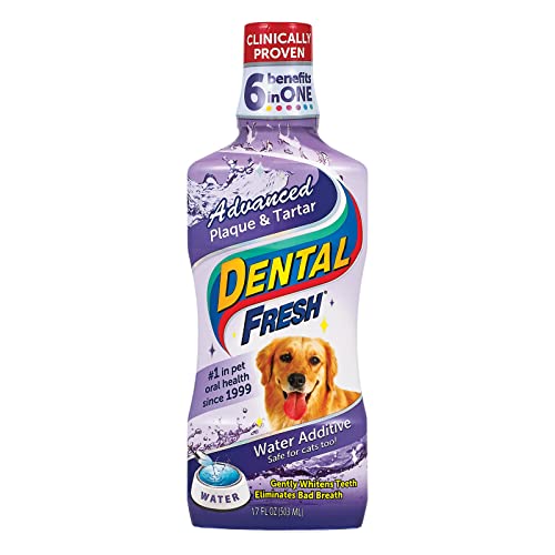 Dental Fresh Advanced Plaque and Tartar Water Additive for Dogs, 17 oz – Dog Teeth Cleaning Formula Targets Plaque & Tartar Build-Up, Eliminates Bad Breath, Whitens Teeth, Improves Overall Oral Health