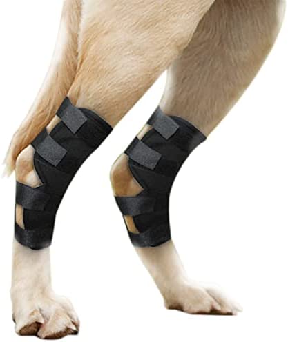 Dog Leg Brace for Small or Short Legs Canine Rear Hock Support, Helps Promote Healing and Prevents Injuries and Sprains Helps with Loss of Stability Caused by Arthritis
