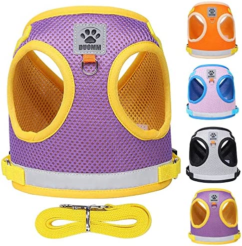 FOZZA Dog Harness and Leash Set No Pull, Reflective Adjustable Step-in Puppy Harness with Breathable Mesh, Dog Vest Harness for Extra-Small/Small Medium Dogs and Cats (Purple, XL)