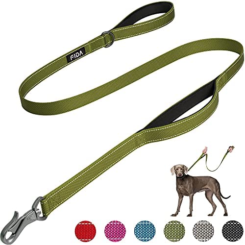 Fida 4 FT Heavy Duty Dog Leash with 2 Comfortable Padded Handles, Traffic Handle & Advanced Easy Snap Hook, Reflective Walking Lead for Large, Medium & Small Breed Dogs, Green