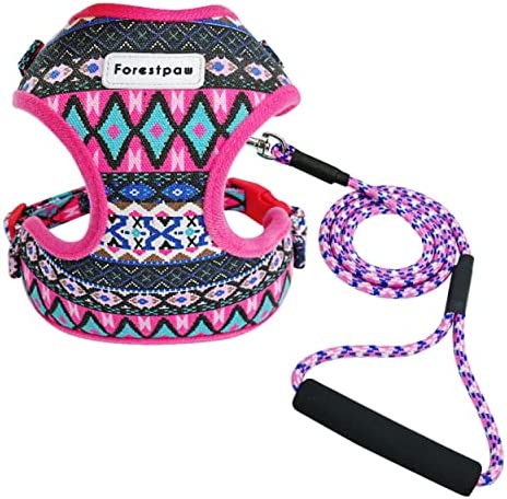 Forestpaw Multi-Colored Stylish Dog Walking Vest Harness and Leash Set- Soft Mesh Padded Vintage Tribal Pattern No Pull Dog Harness for Walking Small Dogs,Hot Pink,fits Chest:13-16"