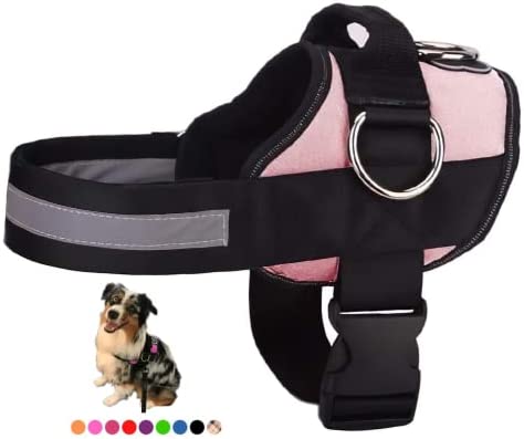 Joyride Harness for Small, Medium, Large Dogs, No-Pull Pet Harness with 3 Side Rings for Leash Placement, Adjustable Soft-Padded Vest for Training, Walking, Running, No-Choke Easy On-Off Technology