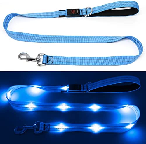 KOSKILL 4 Ft Led Dog Leash, Rechargeable Light Up Dog Leash Waterproof, Safety Glow in The Dark Dog Leash for Night Walking, Nylon Reflective Leashes with Padded Handle for Small Medium Large Pets